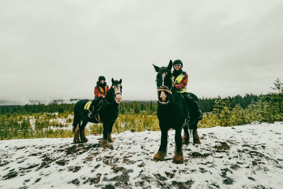 Rovaniemi: Arctic Horse Riding Experience - Good To Know