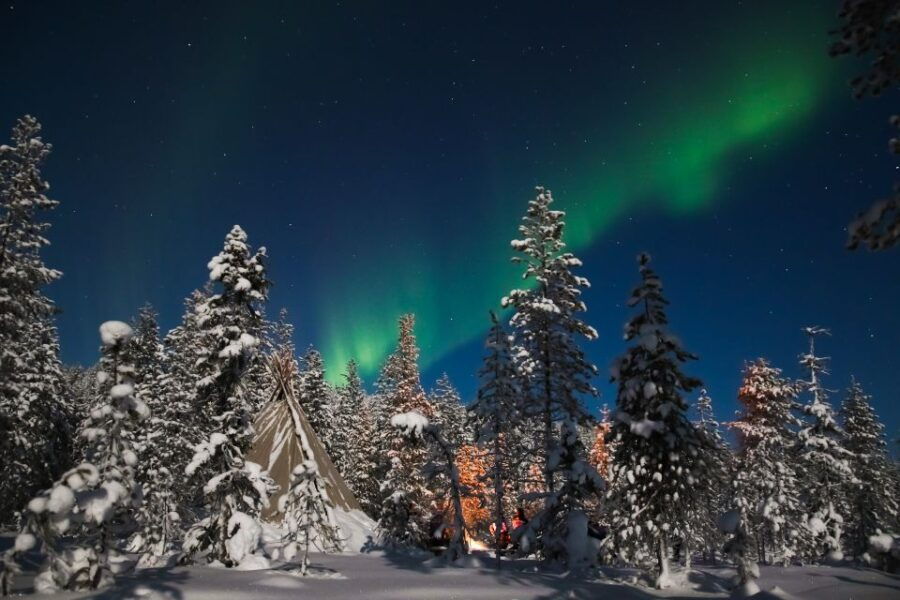 Rovaniemi: Aurora Borealis and Picnic - Activity Highlights and Inclusions