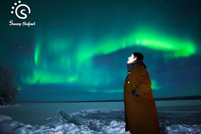 Rovaniemi Aurora Borealis Small-Group Tour - Good To Know