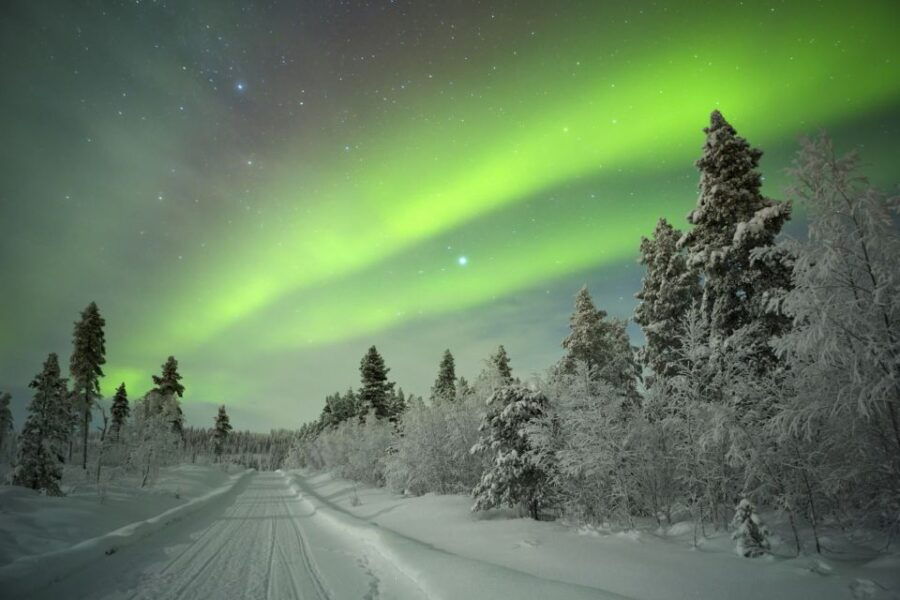 Rovaniemi: Aurora Borealis Snowmobile Safari With Campfire - Good To Know