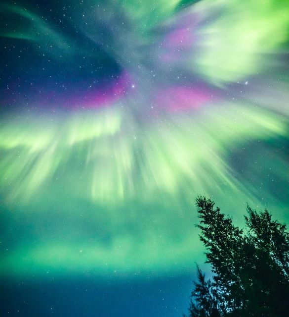 Rovaniemi: Aurora Hunting for Private Groups