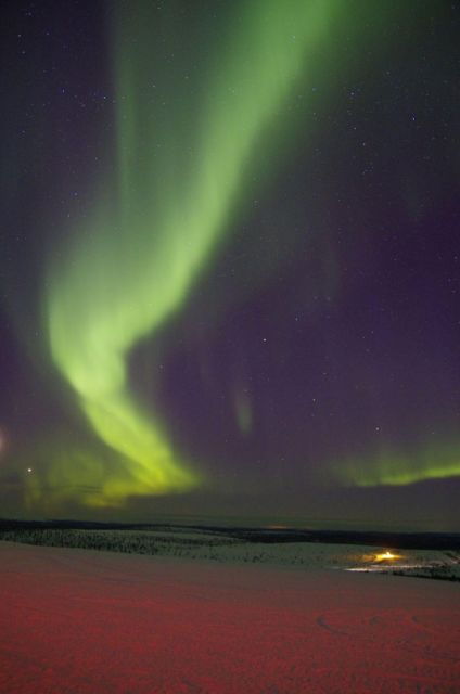 Rovaniemi: Aurora Hunting Tour