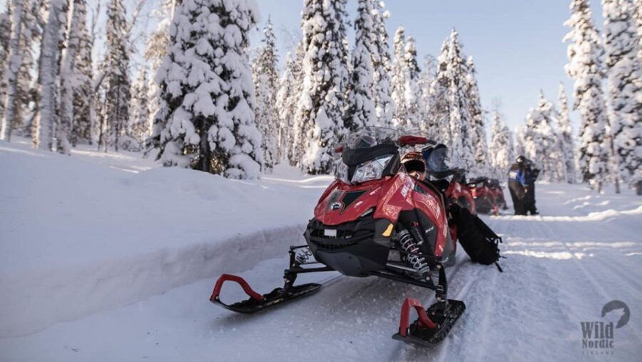 Rovaniemi: Easy Snowmobile Safari