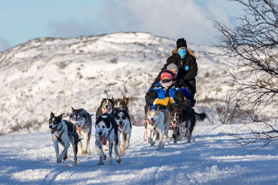Rovaniemi: Family-Friendly Husky Sled Ride and Farm Visit - Good To Know