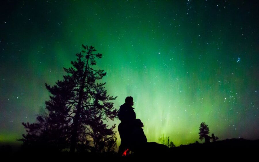 Rovaniemi: Guided Northern Lights Tour by Van