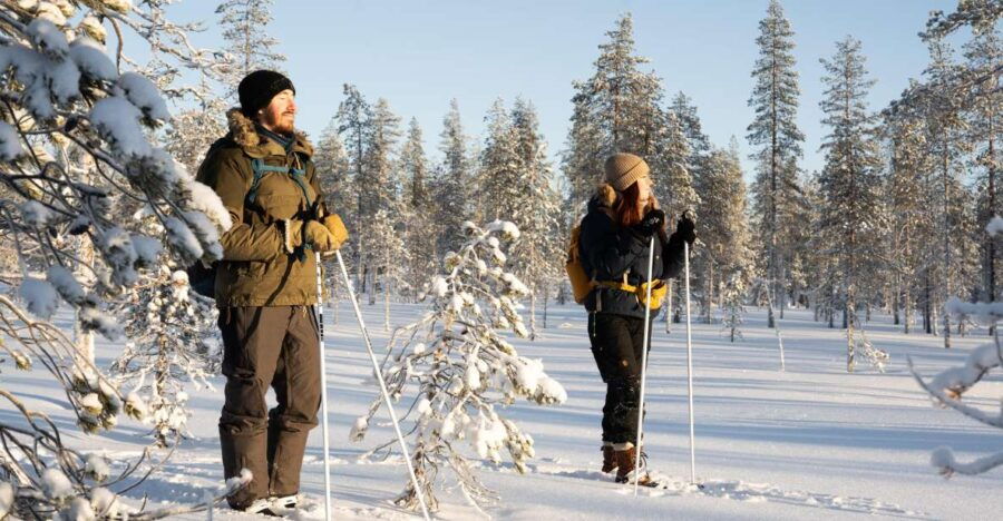 Rovaniemi: Guided Wilderness Ski Trek With Grilled Snack