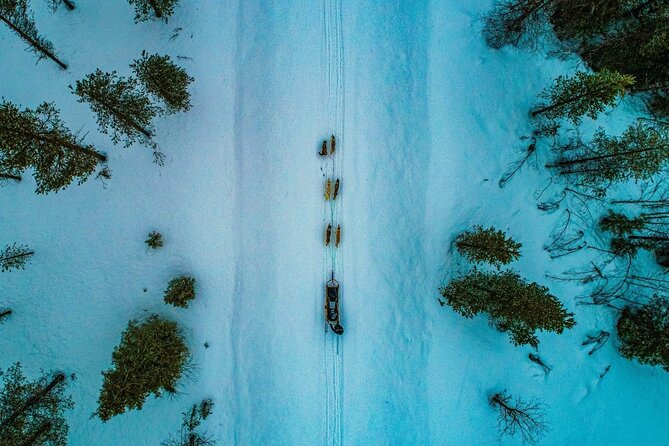 Rovaniemi: Husky Safari Tour & 6-10 Km Self-Driving Mushing - Good To Know