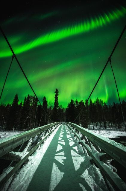 Rovaniemi Insider: Northern Lights Tour With BBQ