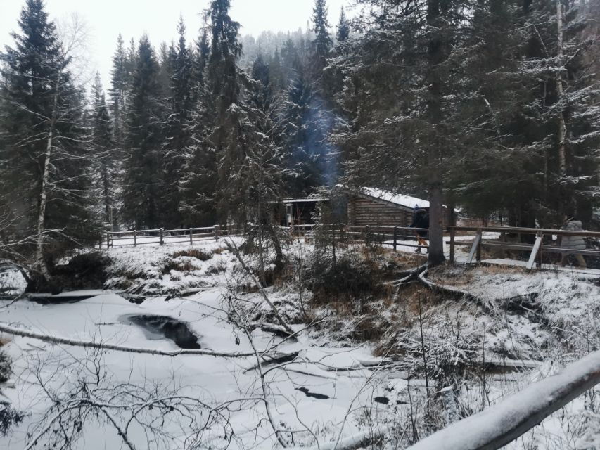 Rovaniemi: Korouoma Canyon Frozen Waterfalls Guided Hike
