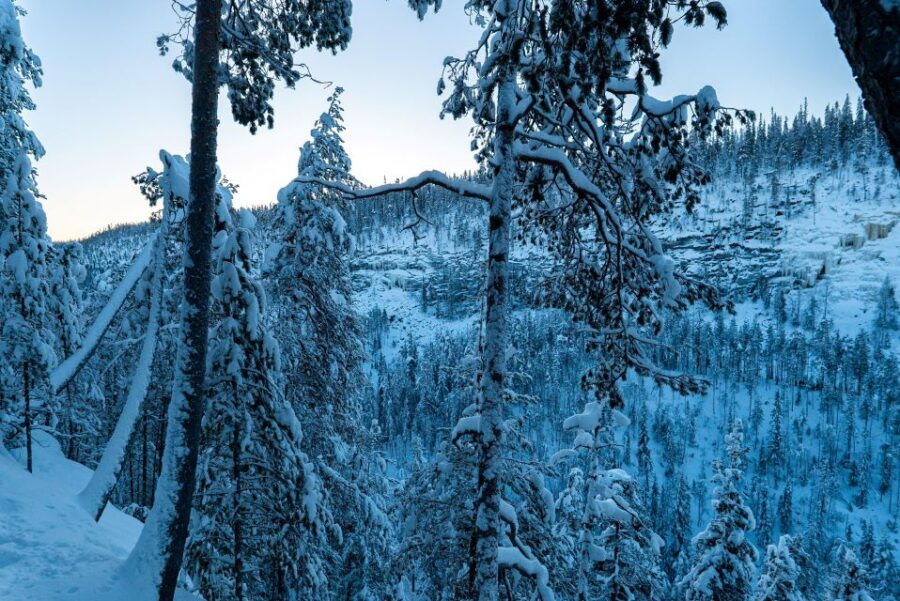 Rovaniemi: Korouoma Canyon Hike Tour