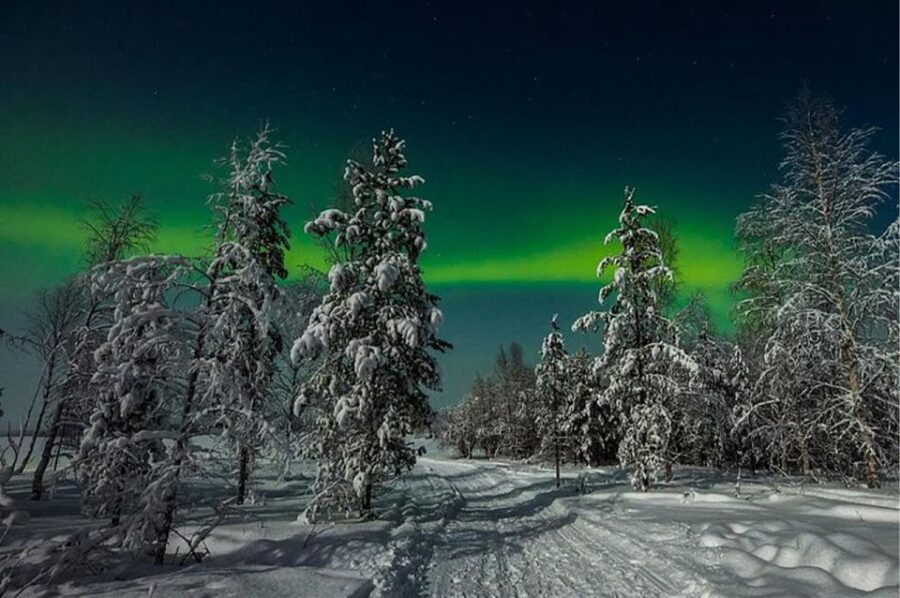 Rovaniemi: Northern Lights and Husky Sleigh Ride - Good To Know