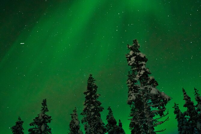 Rovaniemi: Northern Lights by Minibus - Good To Know