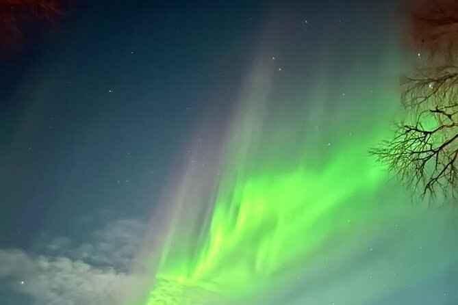 Rovaniemi Northern Lights Small-Group BBQ With Hotel Transfers - Intimate Group Experience