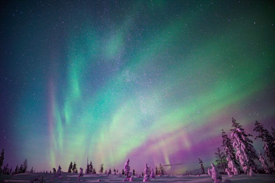 Rovaniemi: Northern Lights Snowmobile Sledge Ride
