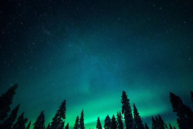 Rovaniemi Northern Lights Wilderness Guided Small-Group Tour