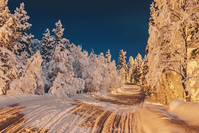 Rovaniemi: Reindeer Evening Safari Tour & 2.5 Km Sled Ride - Good To Know