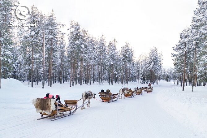 Rovaniemi Reindeer Sleigh Adventure - Pickup and Meeting Points