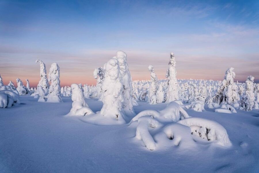 Rovaniemi: Riisitunturi Wilderness Adventure