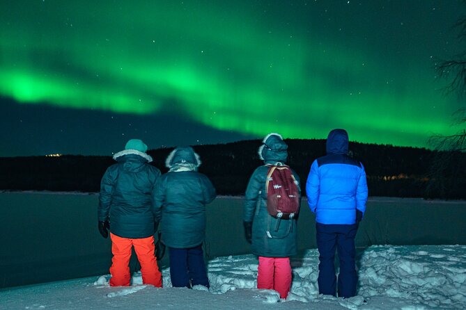 Rovaniemi Small Group Northern Lights Hunt With Photographs - Good To Know