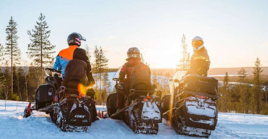Rovaniemi: Snowmobile Safari Adventure