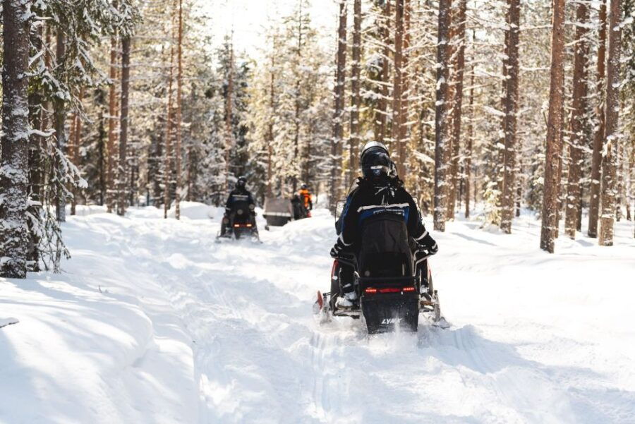 Rovaniemi: Snowmobile Safari Into the Arctic Circle Forest