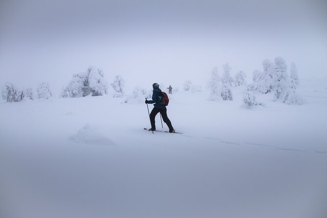 Rovaniemi Snowshoe Excursion