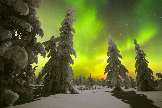 Rovaniemi Snowshoe Hike in Lappish Wilderness