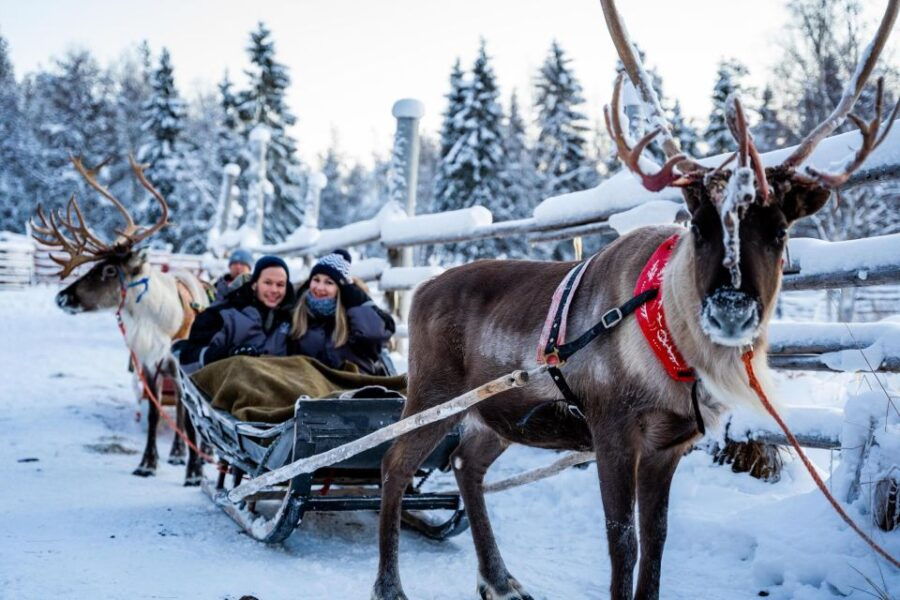 Rovaniemi: Traditional Reindeer Farm Visit & Sleigh Ride - Good To Know