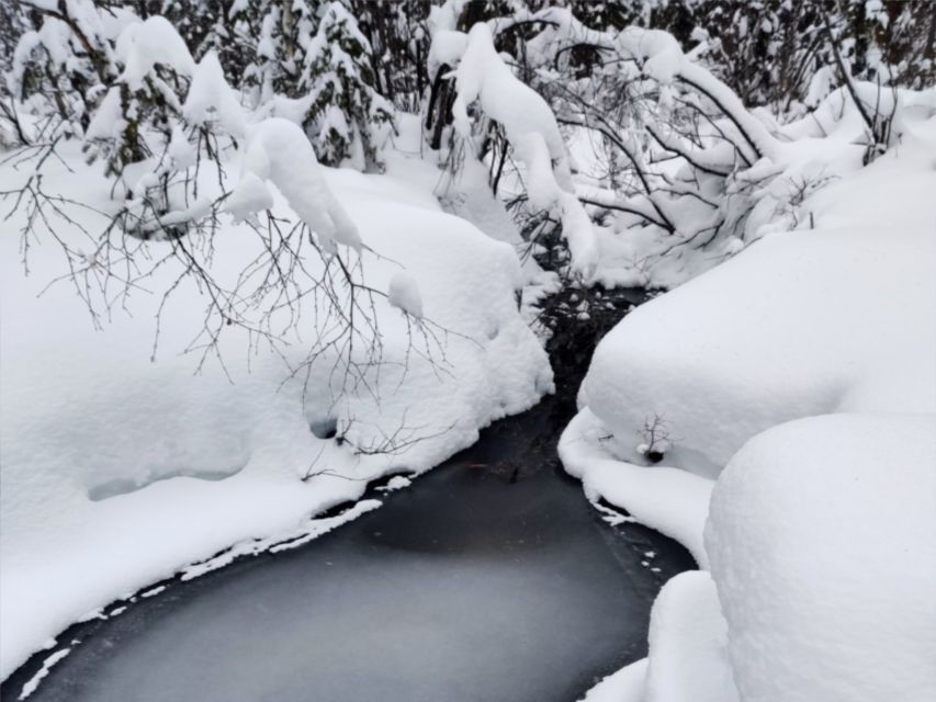 Rovaniemi: Winter Wonderland Vikaköngäs Hike & Barbeque