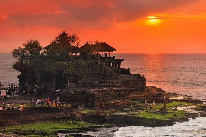 Royal Family Temple, Monkey Forest, and Tanah Lot Sunset Tour - Tour Highlights