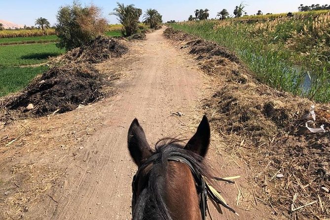 Rural Horse Riding Adventure - Good To Know