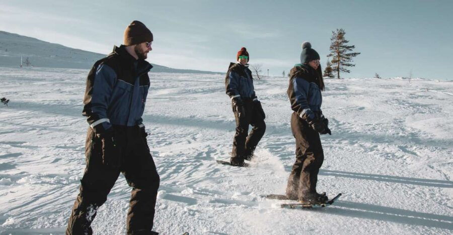Saariselkä: Scenic Snowshoe Safari - Good To Know