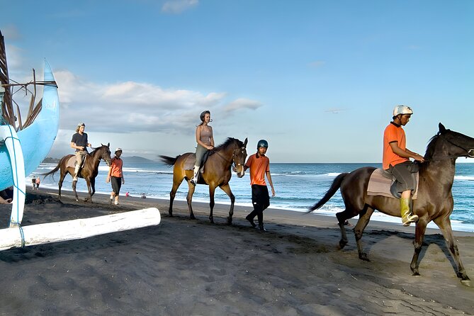 Saba Beach Small-Group Guided Horseback Ride With Transfers (Feb ) - Good To Know