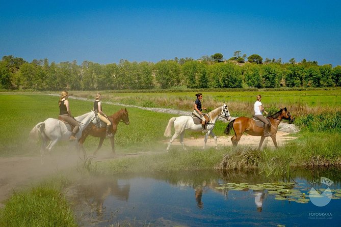 Sado Estuary Natural Reserve Private Horseback Riding Tour  - Lisbon - Tour Highlights