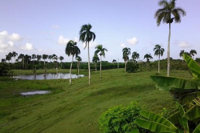 Safari Adventure - Full Day - From Punta Cana - Good To Know