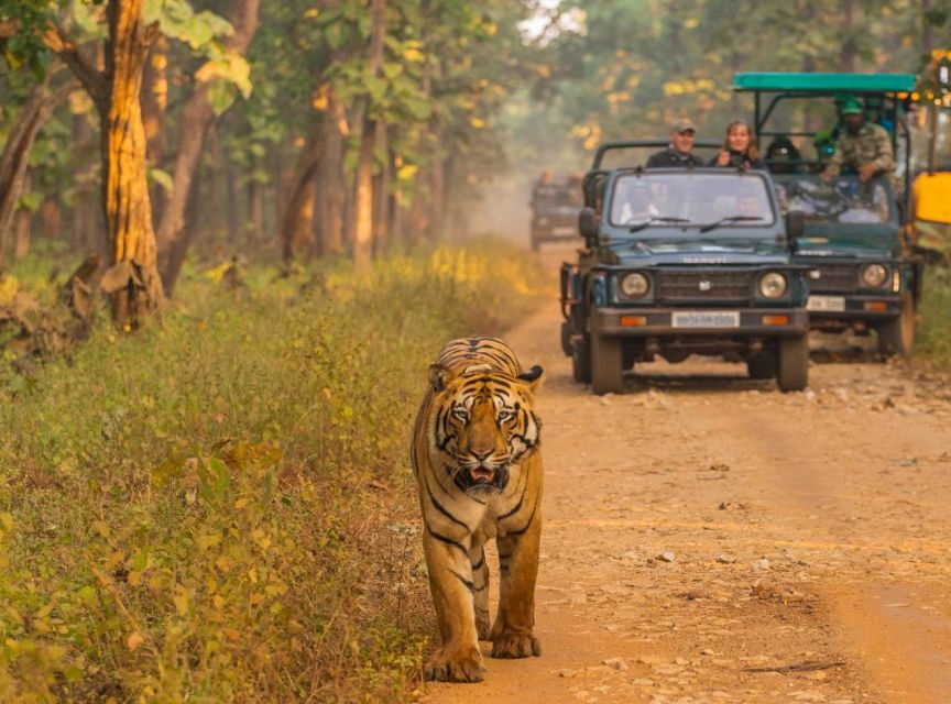 Safari Adventure in Bardia