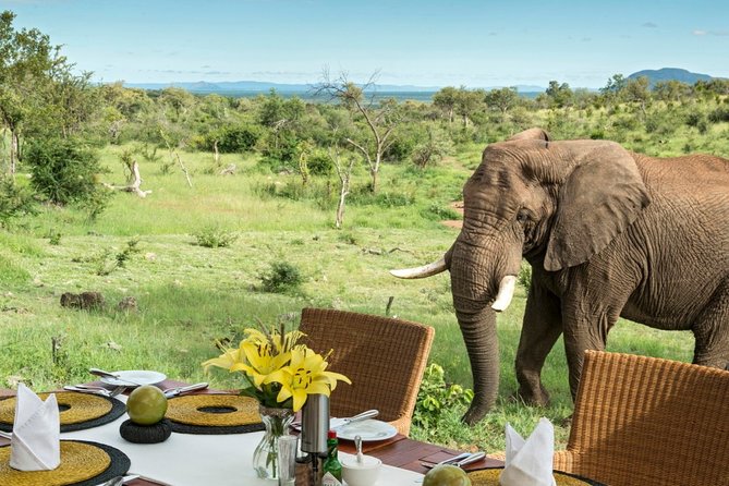Safari Drive of Madikwe Reserve (4-Days Accommodation)