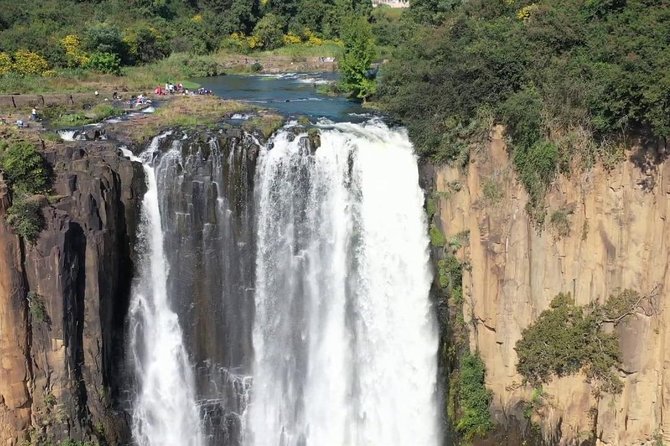 Safari Half Day Howick Falls & Mandela Capture Site From Durban - Tour Overview