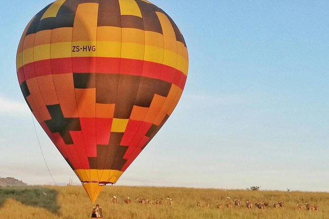 Safari Hot Air Balloon Ride - Johannesburg