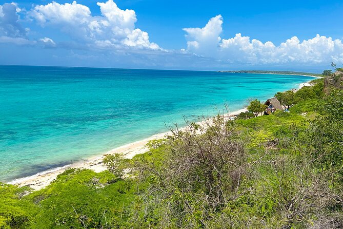 Safari Tour – Paradisiacal Excursion to Bahía De Las Águilas