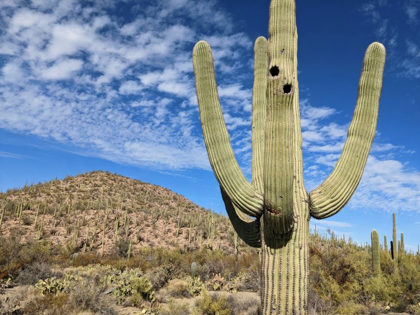 Saguaro National Park: Self-Guided GPS Audio Tour - Good To Know