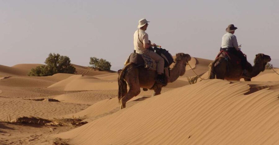 Sahara Desert Shared Tours 3 Days - Good To Know