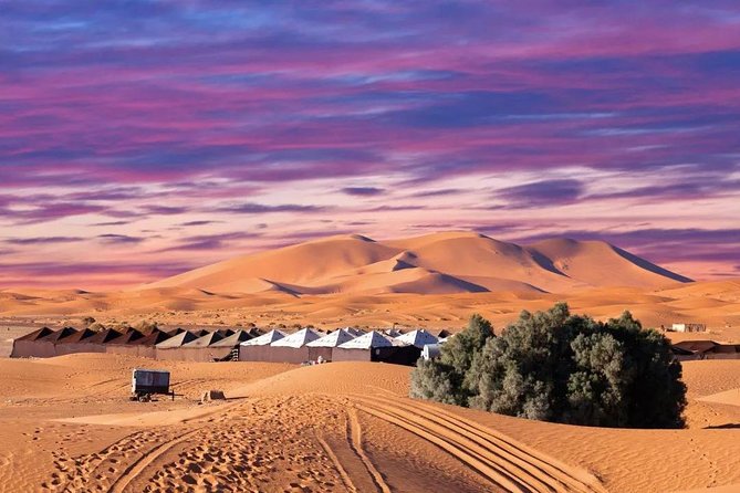 Sahara Two-Day Tour From Fez - Good To Know