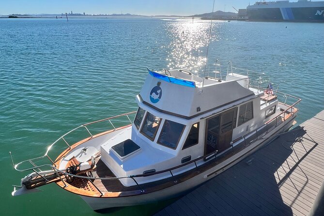 Sailing on Blue Skies on San Francisco Bay up to 6 People - Good To Know