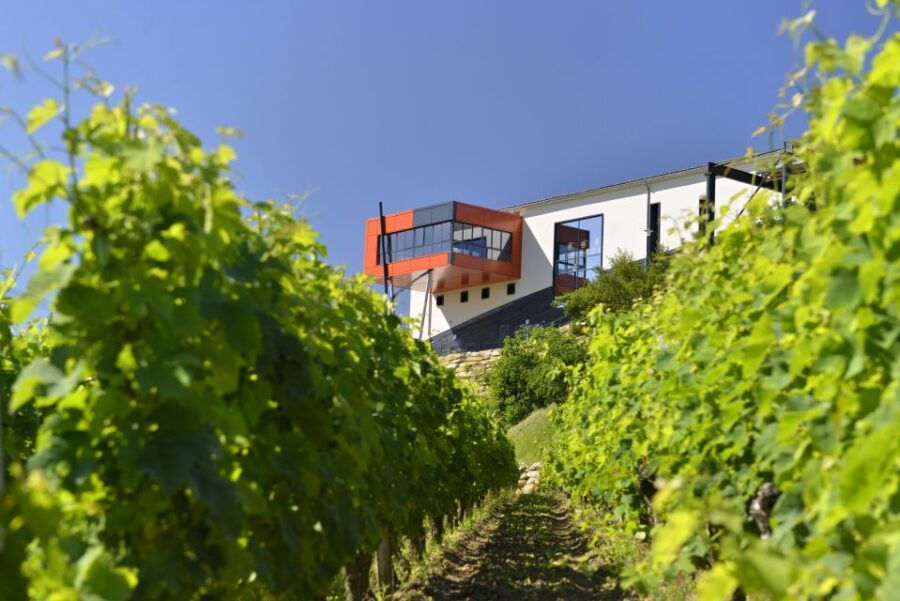 Saint-Emilion Grand Cru Classé: Gourmet Visit - Good To Know