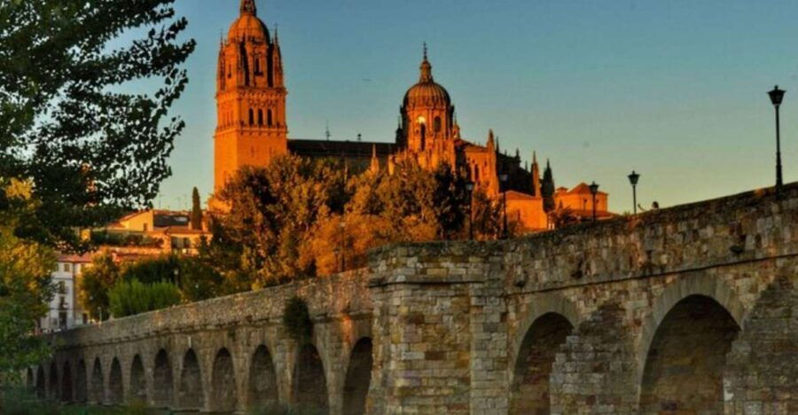 Salamanca: Private Walking Tour With a Local Guide