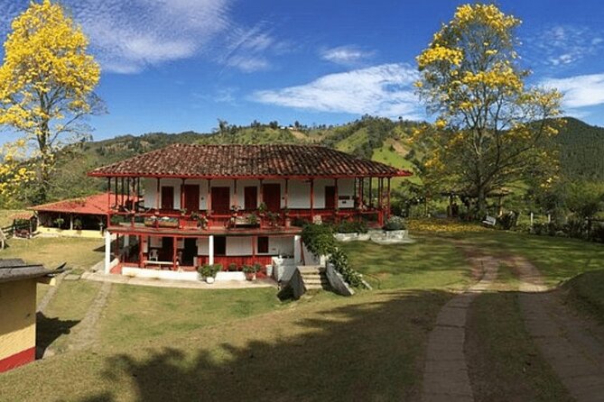 Salento and Cócora Tour Plus Coffee Farm From Pereira or Armenia