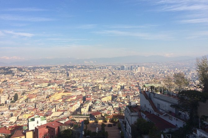 Salerno Shore Excursion: Private Naples Day Trip - Tour Overview