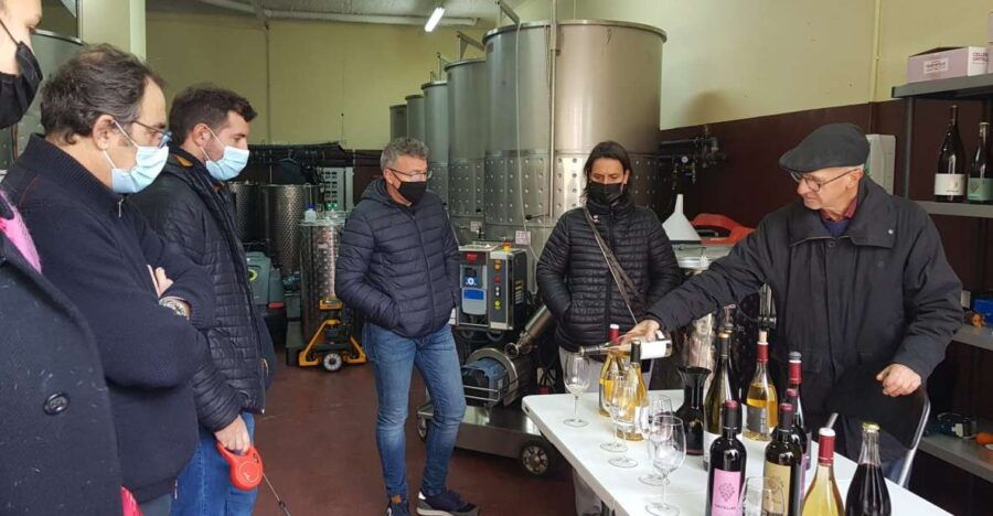 Salou: Priorat Wine-Cellar Tour With Wine Tasting