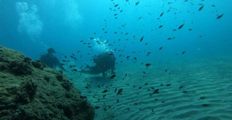 Salou: Scuba Diving for Beginners - Good To Know
